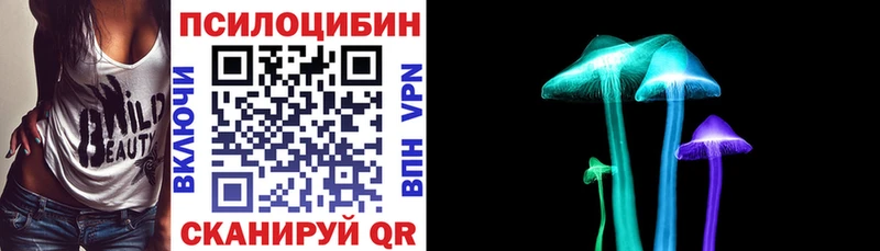 Псилоцибиновые грибы MAGIC MUSHROOMS  купить   hydra ссылка  Циолковский 