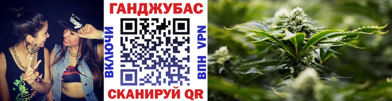 кракен как войти  Циолковский  Бошки Шишки сатива  как найти наркотики 